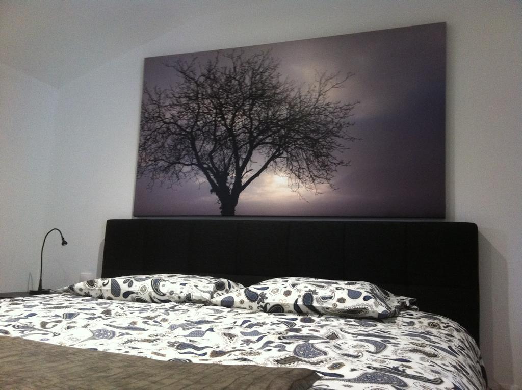Appartement Studio Agrita Wittisheim Esterno foto